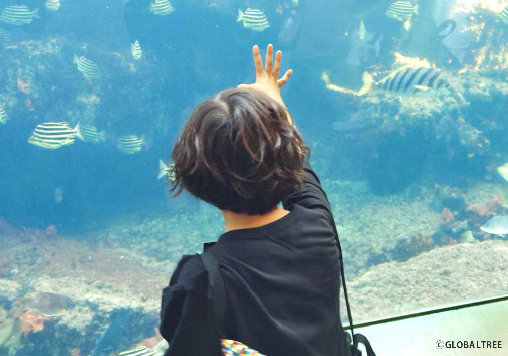 【お出かけレクリエーション】アクアワールド茨城県大洗水族館にて、生きものたちに興味津々！ルールを守って楽しく過ごしました＠西川田店・画像
