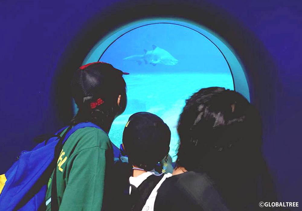 【お出かけレクリエーション】アクアワールド茨城県大洗水族館にて、生きものたちに興味津々！ルールを守って楽しく過ごしました＠西川田店・画像